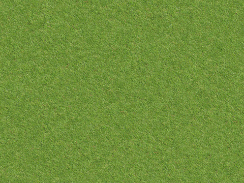 草地草皮草坡115