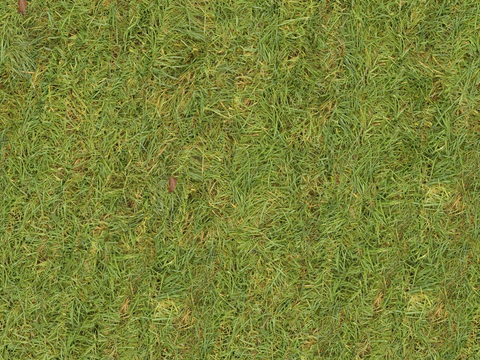 草地草皮草坡89