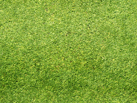 草地草皮草坡133