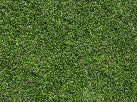 草地草皮草坡59