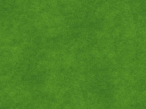 草地草皮草坡77