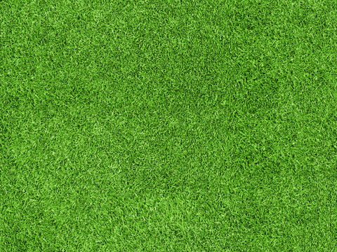  草地草皮草坡79 