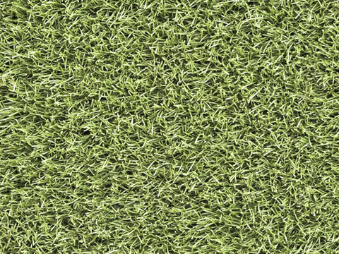 草地草皮草坡17