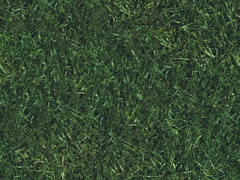 草地草皮草坡52