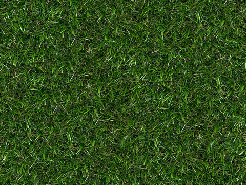 草地草皮草坡30