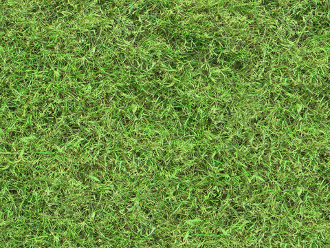 草地草皮草坡28