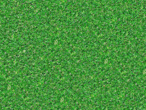 草地草皮草坡83