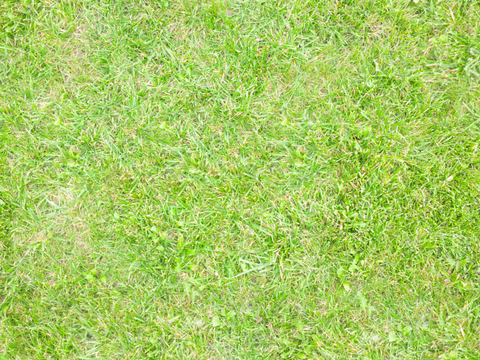 草地草皮草坡48