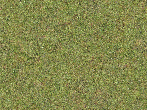 草地草皮草坡63