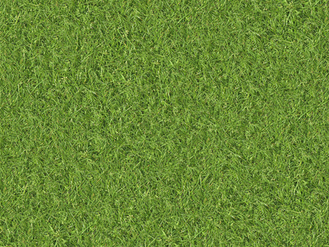 草地草皮草坡34