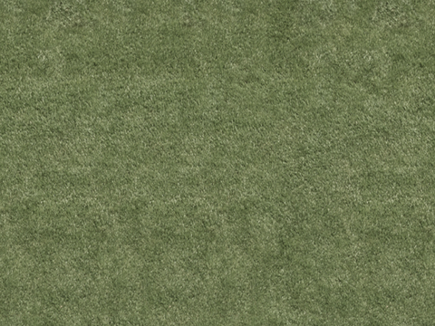 草地草皮草坡113