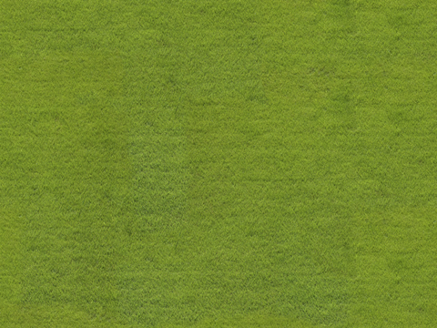 草地草皮草坡138