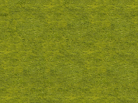 草地草皮草坡110