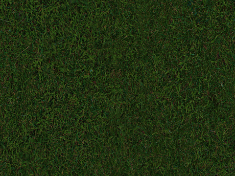 草地草皮草坡116