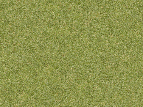 草地草皮草坡91