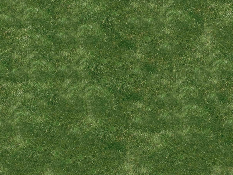 草地草皮草坡108