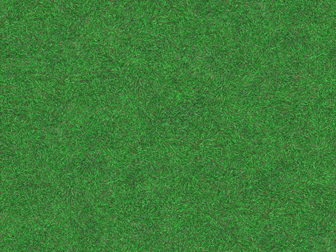 草地草皮草坡69