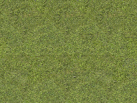 草地草皮草坡36