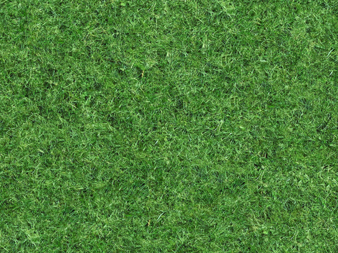 草地草皮草坡14