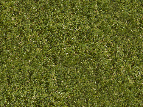 草地草皮草坡26