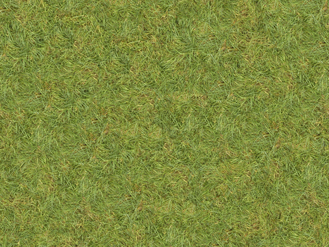 草地草皮草坡85