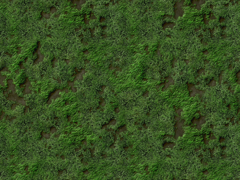 草地草皮草坡32