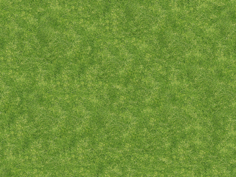 草地草皮草坡99