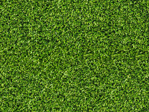 草地草皮草坡66