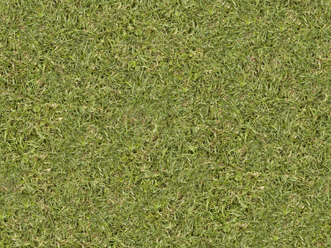 草地草皮草坡88