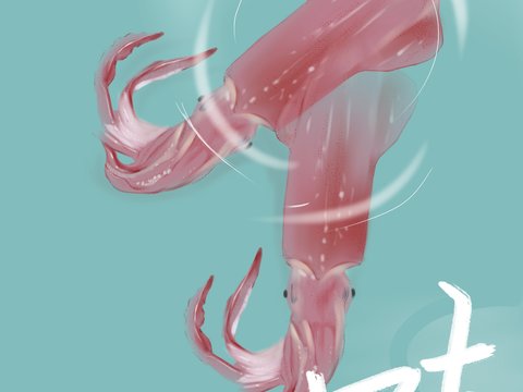  美食广告海报57 