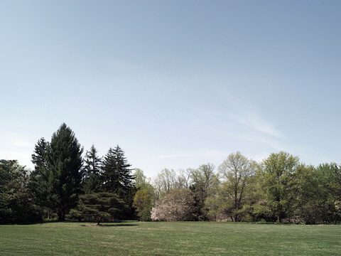  树林草地白天外景_窗外景_常用外景 