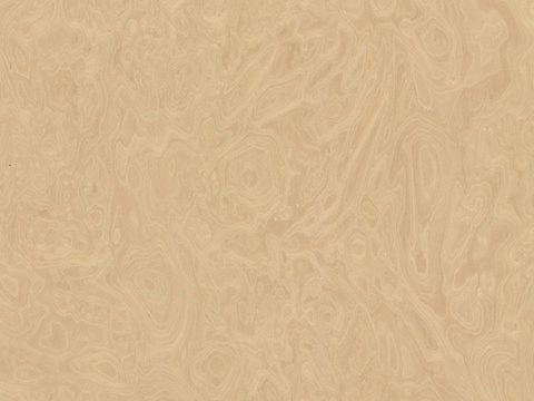 高清无缝桦木木纹