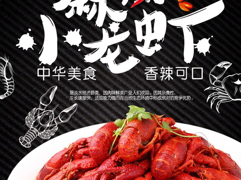 餐饮美食广告海报84