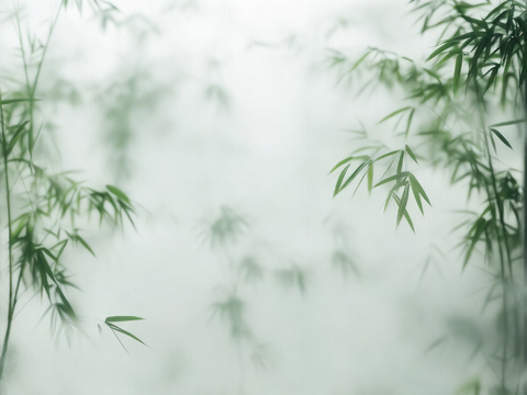 禅意 竹影 壁纸 灯箱画面