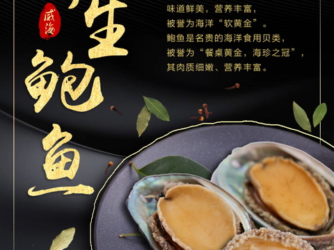 餐饮美食广告海报139