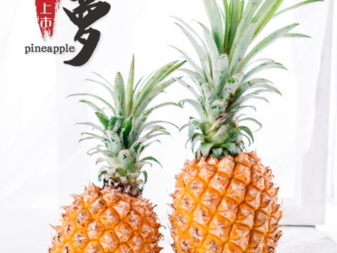  餐饮美食广告海报319 