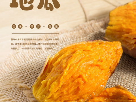 餐饮美食广告海报325