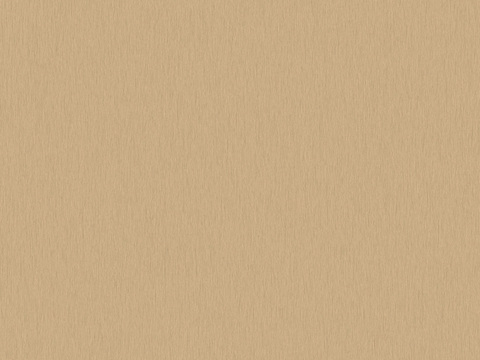 香槟金属色不锈钢