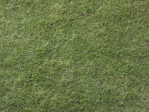 高精度真实草地纹理贴图