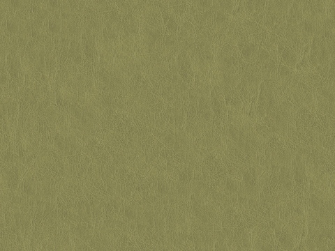  现代无缝粗纹皮革 绿色粗纹无缝真皮纹理 
