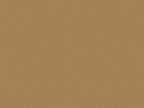  现代无缝粗纹皮革 橙色皮革贴图 