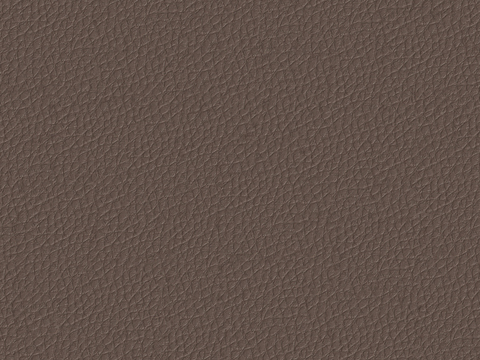  现代粗纹皮革 无缝咖色粗纹皮革贴图 