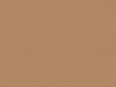  现代细纹皮革 暗黄色皮革无缝贴图 