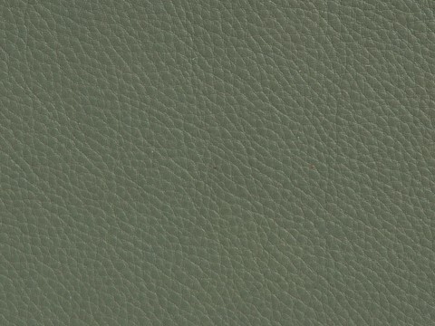  现代无缝粗纹皮革 绿色粗纹无缝真皮纹理 
