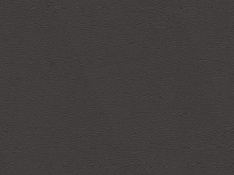  现代细纹皮革 黑色荔枝纹皮革贴图 