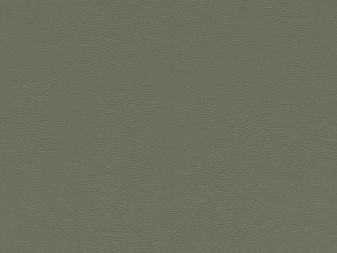  意式无缝复古皮革 绿色皮革硬包贴图 