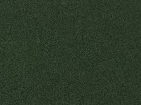  意式无缝复古皮革 绿色皮革硬包贴图 