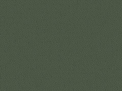  现代无缝粗纹皮革 绿色粗纹无缝真皮纹理 
