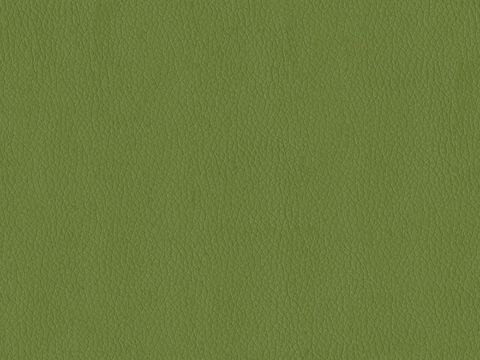  现代无缝粗纹皮革 绿色粗纹无缝真皮纹理 