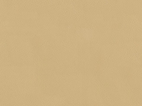  现代细纹皮革 暗黄色皮革无缝贴图 